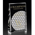 Clear Distinction Crystal Award (4"x6"x1 3/8")